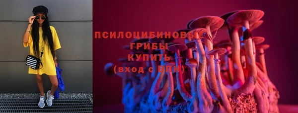 COCAINE Бородино