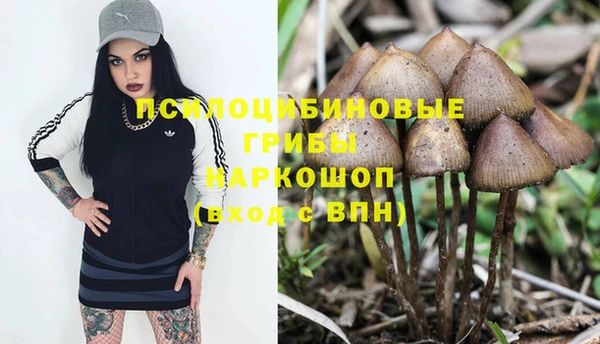 COCAINE Бородино