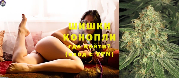 трава Бронницы