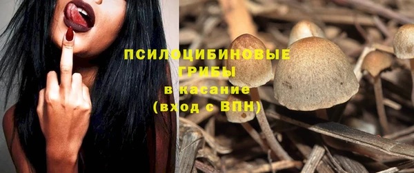 COCAINE Бородино